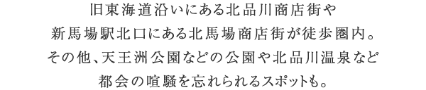 旧東海道沿いにある北品川商店街や新馬場駅北口にある北馬場商店街が徒歩圏内。その他、天王洲公園などの公園や北品川温泉など都会の喧騒を忘れられるスポットも。