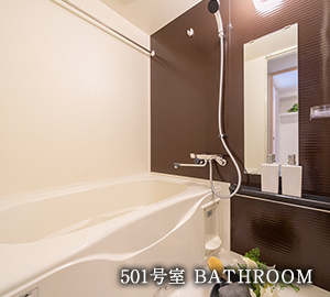501号室 BATHROOM