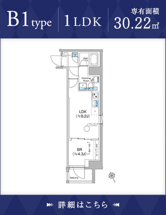 B1type