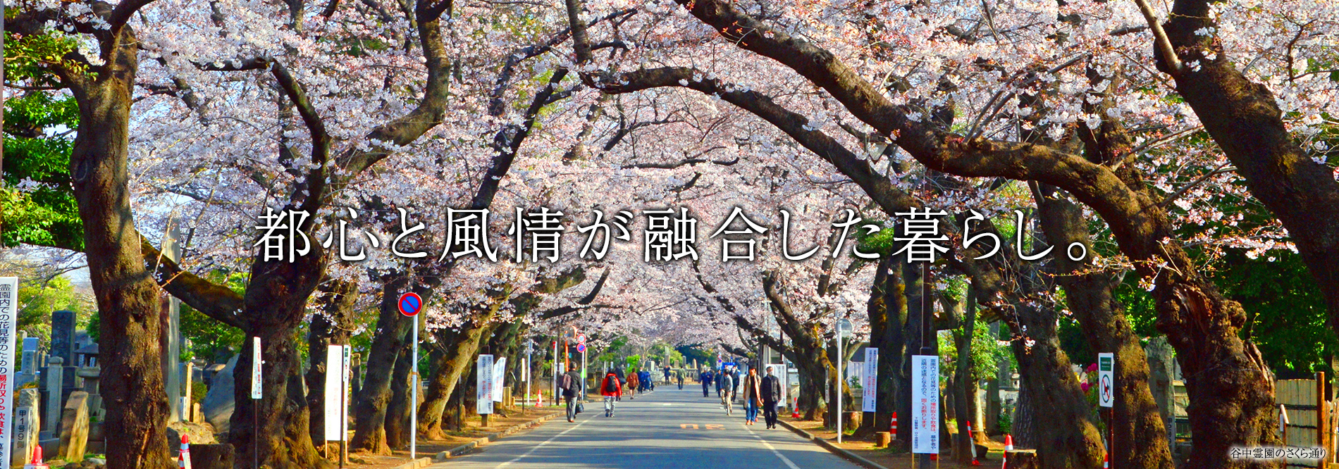 都心と風情が融合した暮らし。
