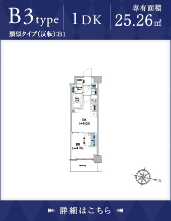 B3type